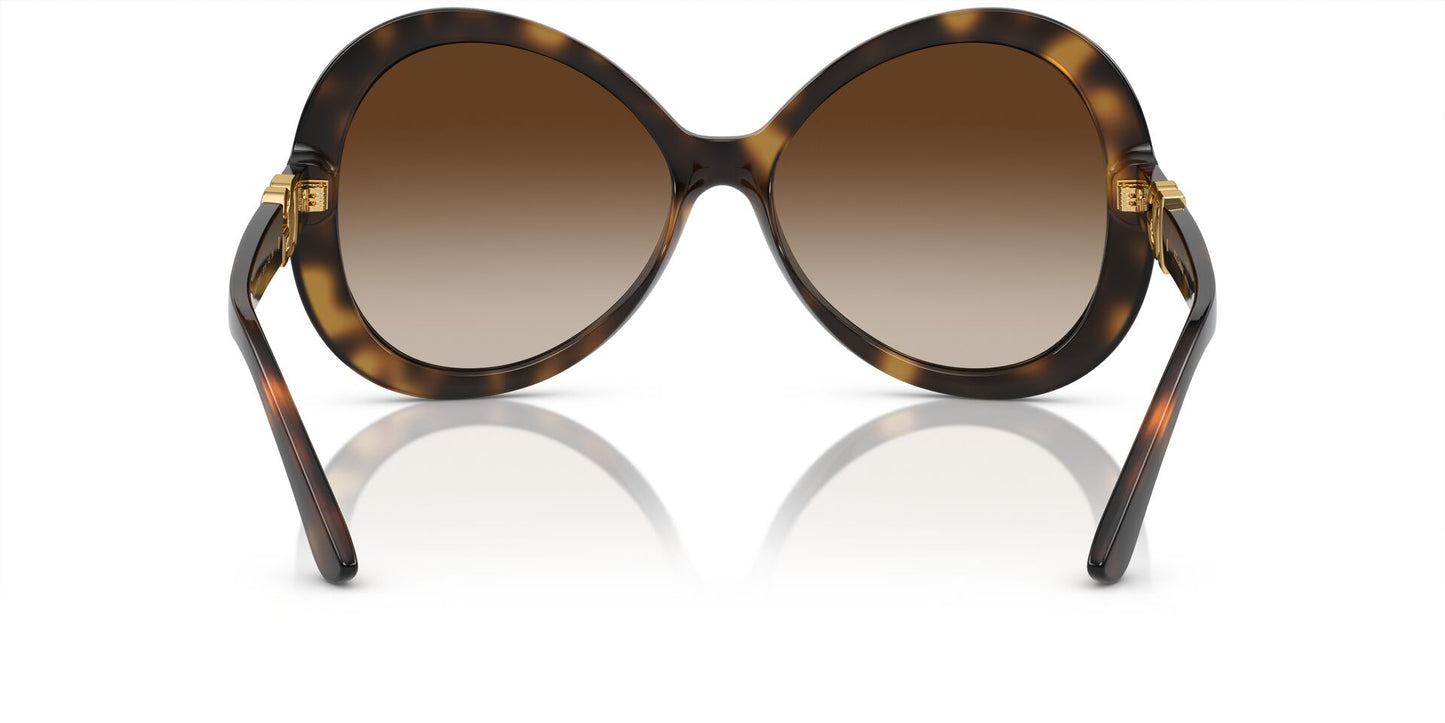 Lente Solar Dolce Gabbana DG6194U Havana