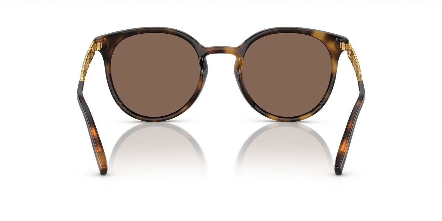 Lente Solar Dolce Gabbana DG6189U Havana