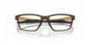Lente Oftálmico Oakley OX8153 Café