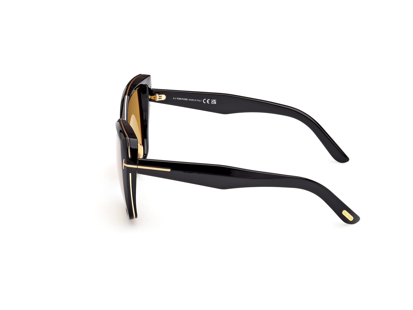 Lentes de Sol Tom Ford FT1223 Negro