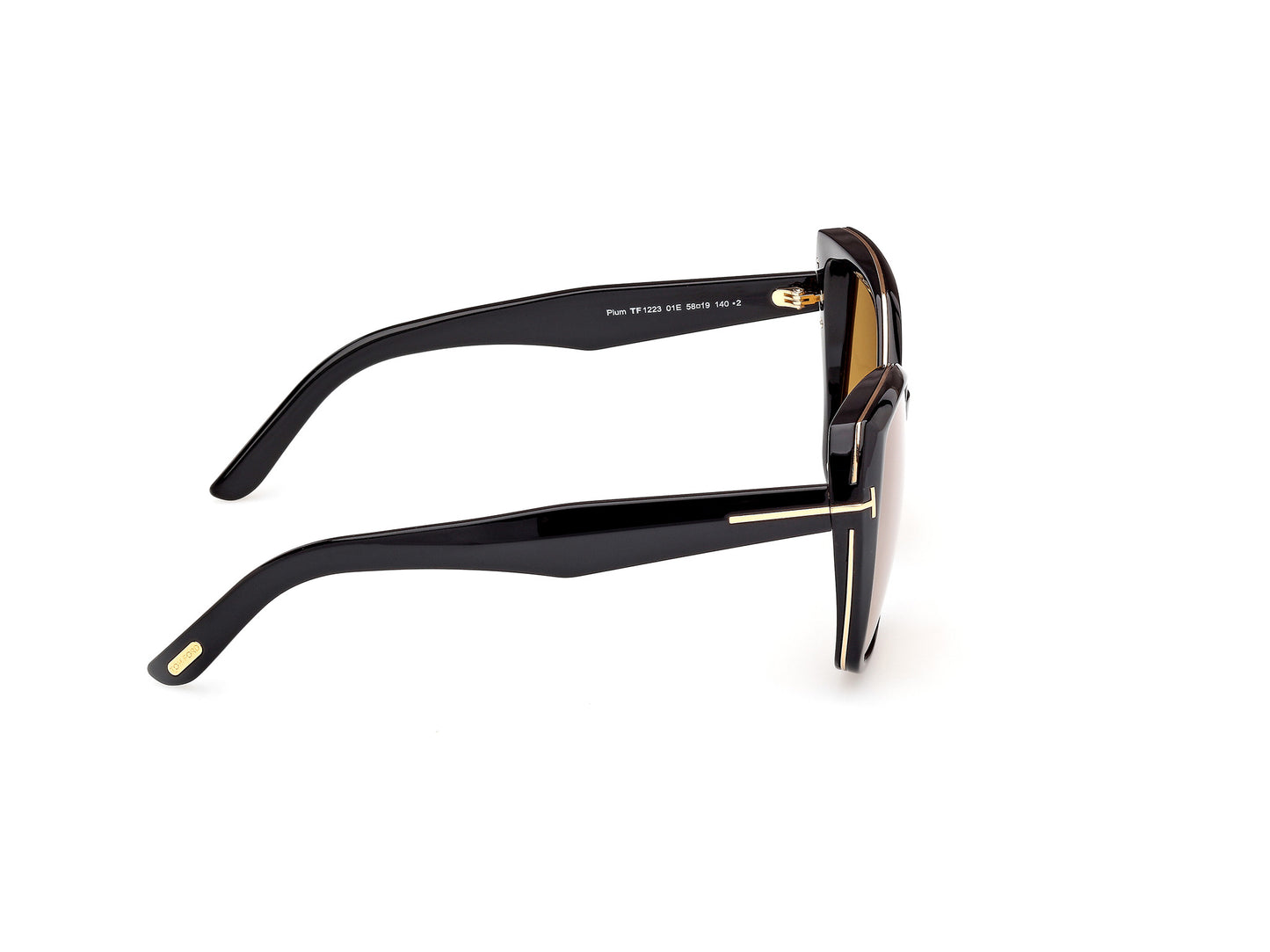 Lentes de Sol Tom Ford FT1223 Negro