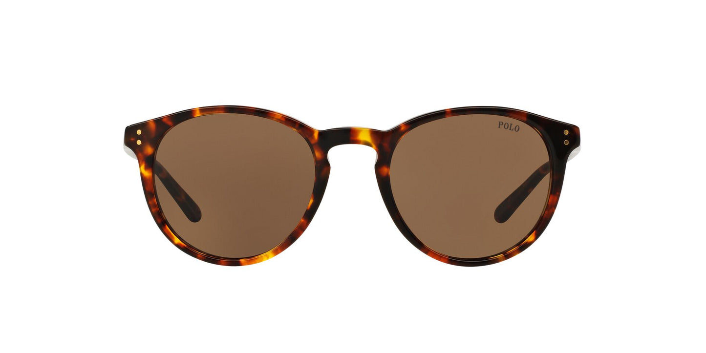 Lentes de Sol Polo Ralph PH4110 Havana