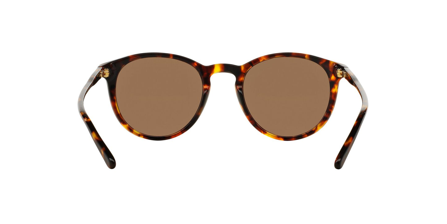 Lentes de Sol Polo Ralph PH4110 Havana
