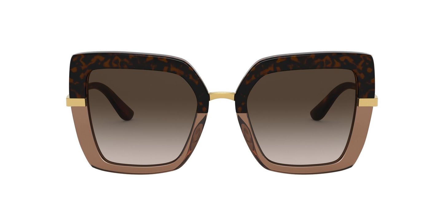 Lentes de Sol Dolce Gabbana DG4373 Havana-Ópticas LUX, Ve Más Allá