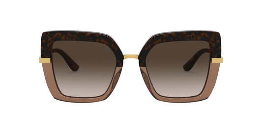Lentes de Sol Dolce Gabbana DG4373 Havana-Ópticas LUX, Ve Más Allá