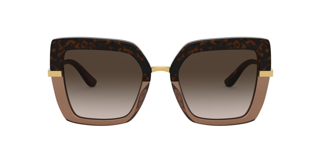 Lentes de Sol Dolce Gabbana DG4373 Havana-Ópticas LUX, Ve Más Allá