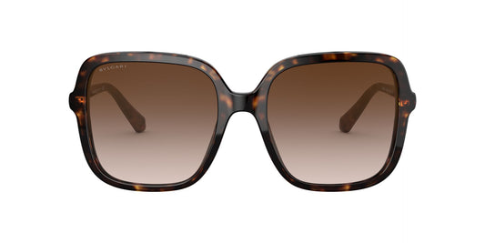 Lentes de Sol Bvlgari BV8228B Havana-Ópticas LUX, Ve Más Allá