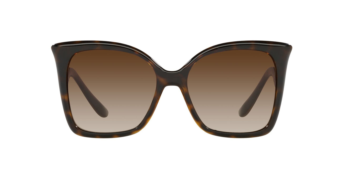 Lentes de Sol Dolce Gabbana DG6168 Havana-Ópticas LUX, Ve Más Allá