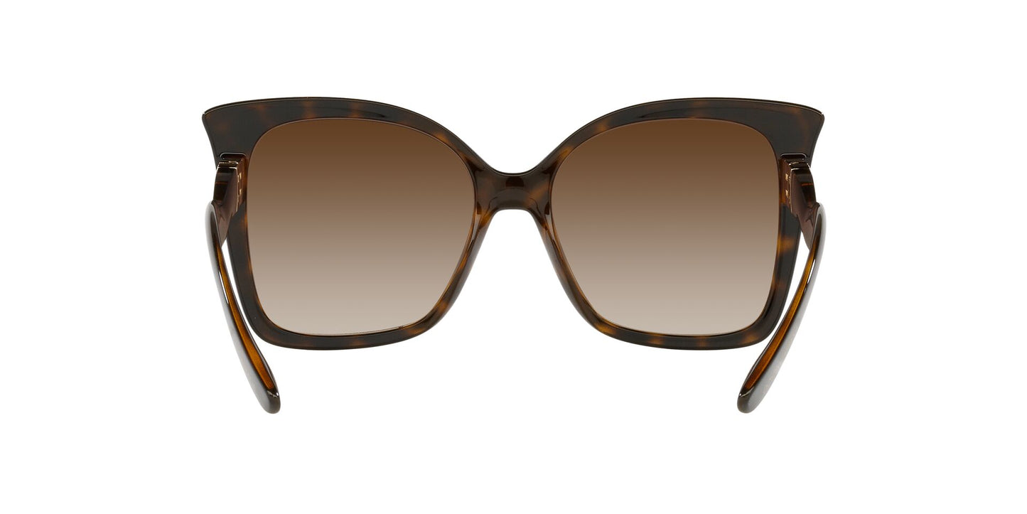 Lentes de Sol Dolce Gabbana DG6168 Havana-Ópticas LUX, Ve Más Allá