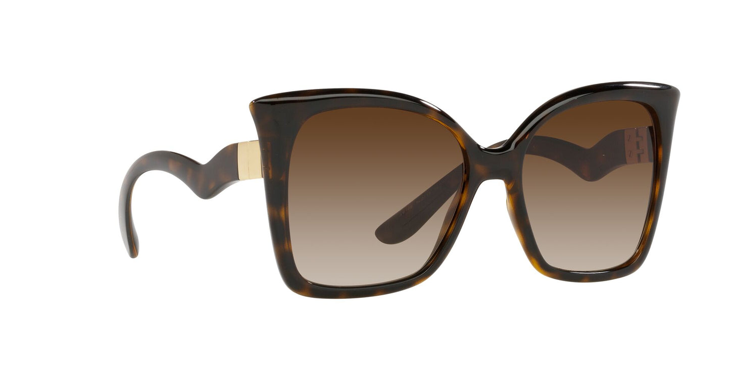 Lentes de Sol Dolce Gabbana DG6168 Havana-Ópticas LUX, Ve Más Allá