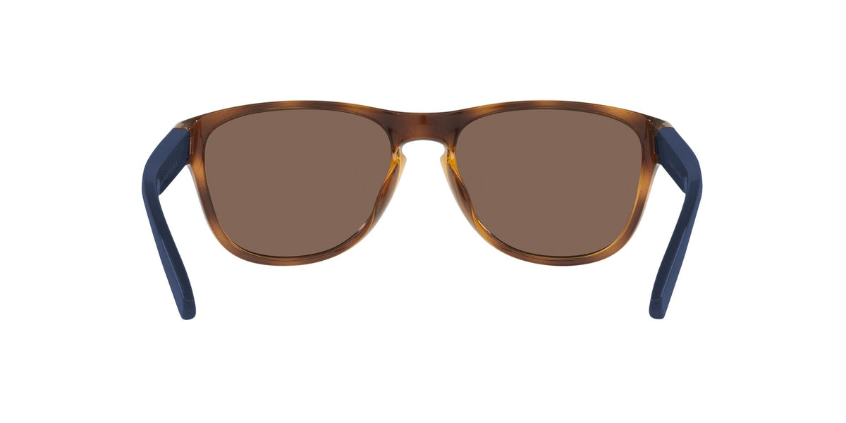 Lentes de Sol Polo Ralph PH4180U Havana