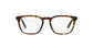 Lente Oftálmico Chaps CP3058U Havana-Ópticas LUX, Ve Más Allá