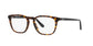 Lente Oftálmico Chaps CP3058U Havana-Ópticas LUX, Ve Más Allá