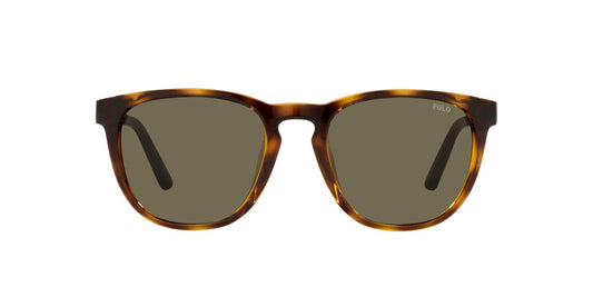 Lente Solar Polo Ralph PH4182U Havana-Ópticas LUX, Ve Más Allá