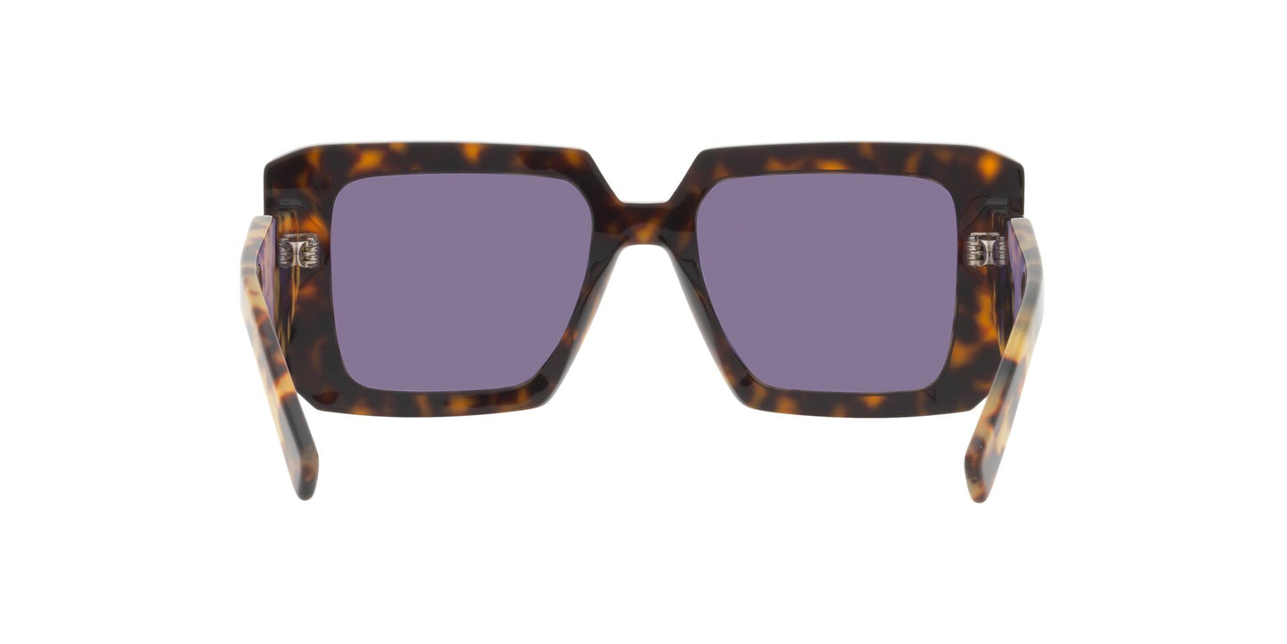 Lentes de Sol Prada PR23YS Havana