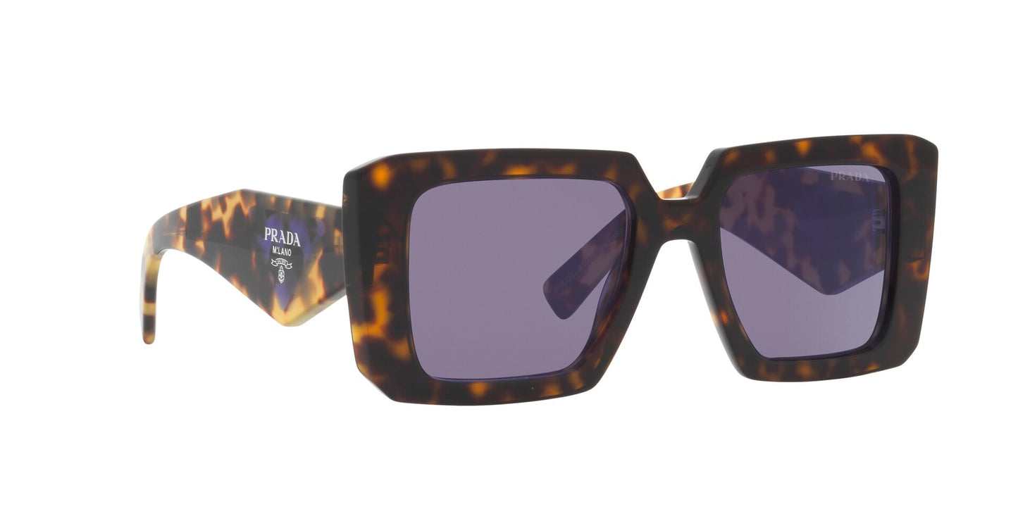 Lentes de Sol Prada PR23YS Havana