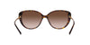 Lente de Sol Bvlgari BV8244 Havana-Ópticas LUX, Ve Más Allá