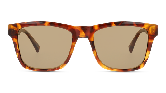 Lentes de Sol Privé Revaux THEBEAU Havana-Ópticas LUX, Ve Más Allá