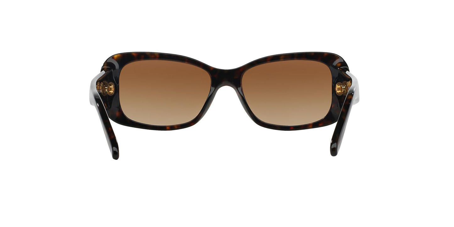 Lentes de Sol Vogue VO2606G Havana-Ópticas LUX, Ve Más Allá